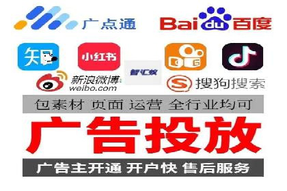 SEM搜索引擎优化策略解析与应用案例